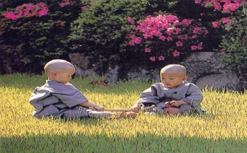 Sa di hiền trí